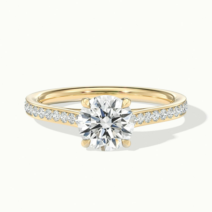 Kate 1 Carat Round Solitaire Pave Moissanite Engagement Ring in 10k Yellow Gold