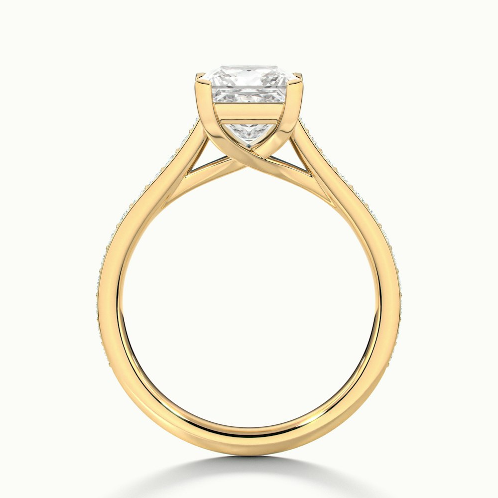 Asta 3 Carat Princess Cut Solitaire Pave Lab Grown Diamond Ring in 10k Yellow Gold