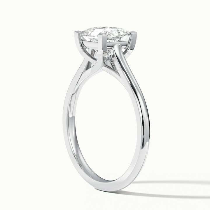 Kai 1 Carat Princess Cut Solitaire Moissanite Engagement Ring in 10k White Gold