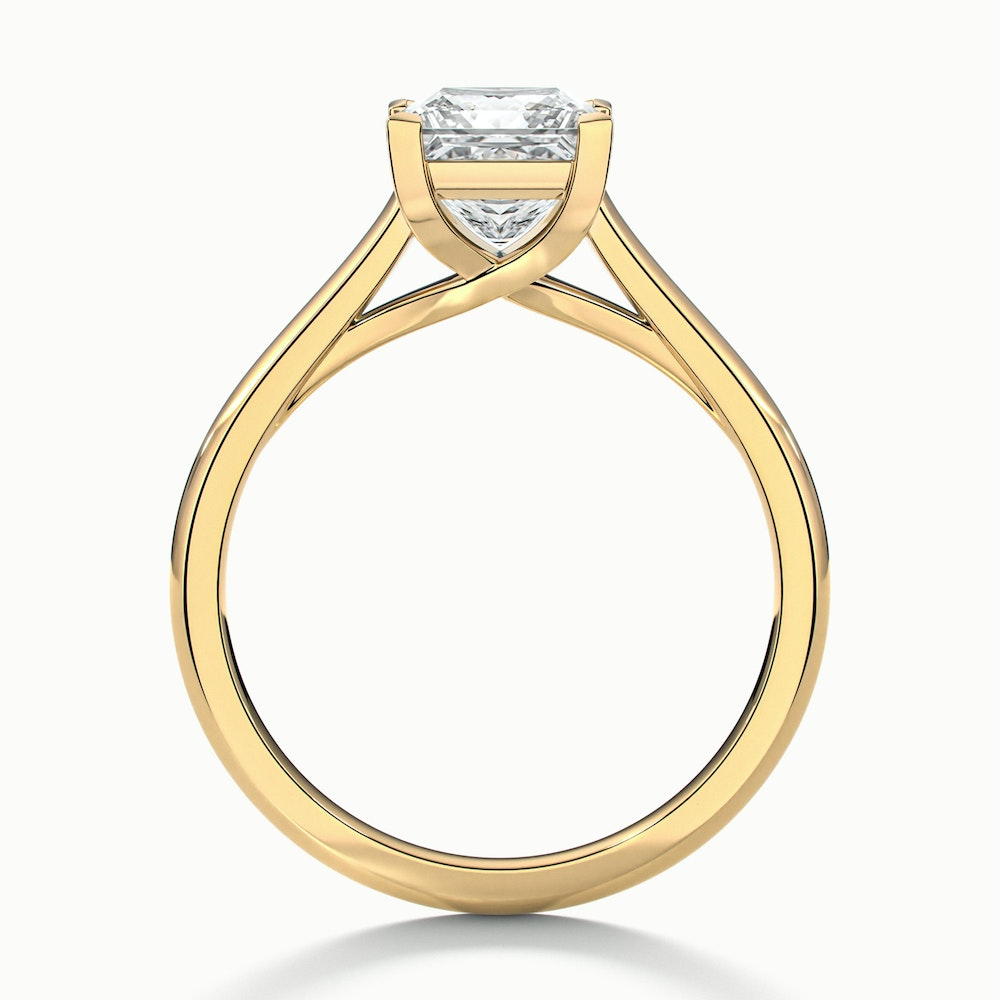 Kai 1 Carat Princess Cut Solitaire Moissanite Engagement Ring in 10k Yellow Gold