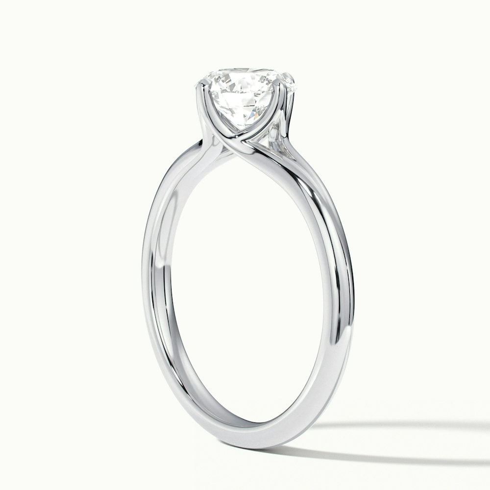 Nelli 5 Carat Round Cut Solitaire Lab Grown Diamond Ring in 10k White Gold
