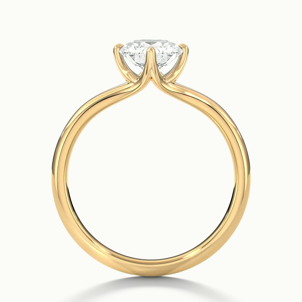 Nelli 1 Carat Round Cut Solitaire Lab Grown Diamond Ring in 10k Yellow Gold