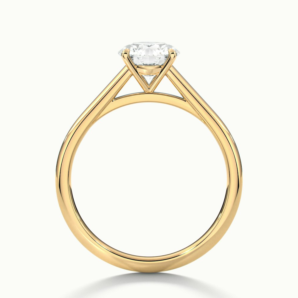 Anika 2 Carat Round Cut Solitaire Lab Grown Diamond Ring in 10k Yellow Gold