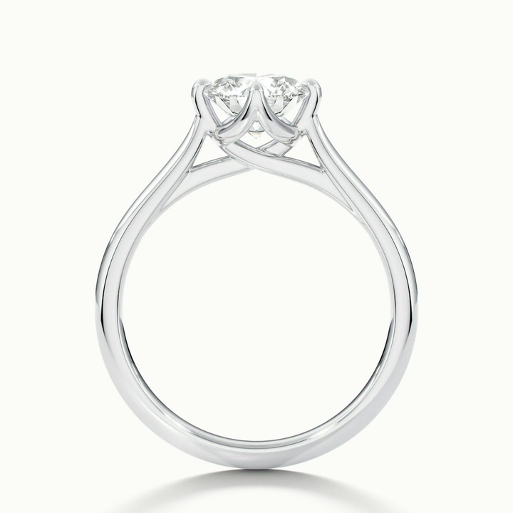 Asta 5 Carat Round Cut Solitaire Moissanite Diamond Ring in Platinum