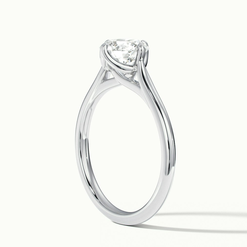 Asta 5 Carat Round Cut Solitaire Moissanite Diamond Ring in Platinum