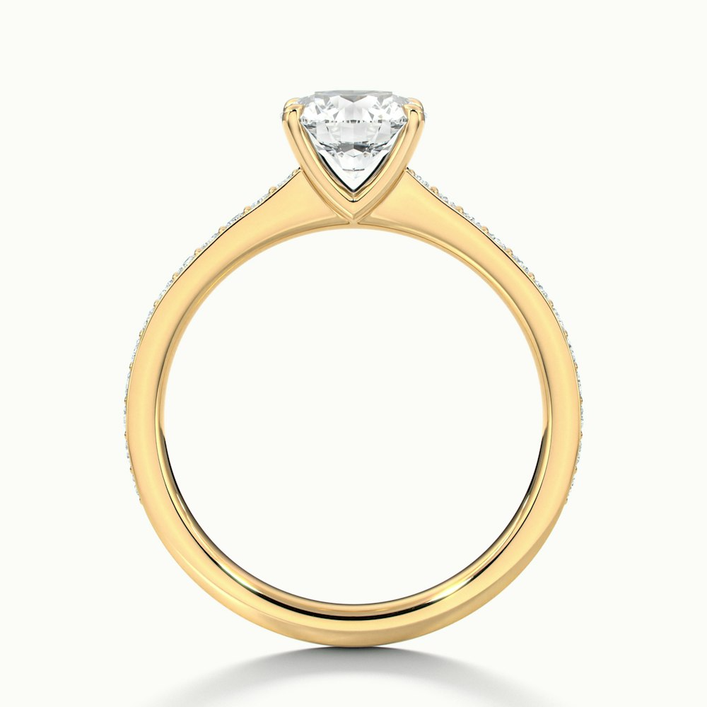 Elma 2 Carat Round Cut Solitaire Pave Moissanite Diamond Ring in 14k Yellow Gold