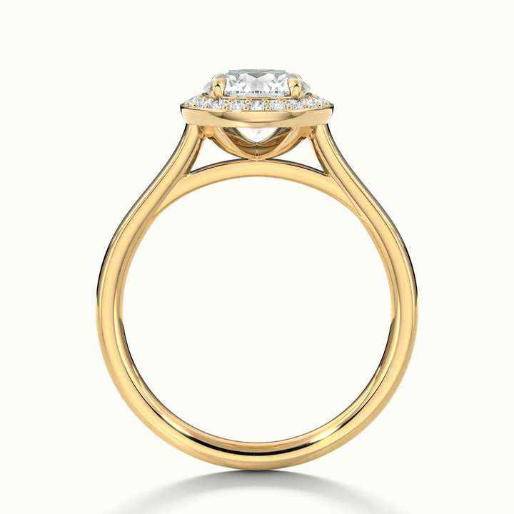 Helyn 1 Carat Round Halo Lab Grown Engagement Ring in 10k Yellow Gold