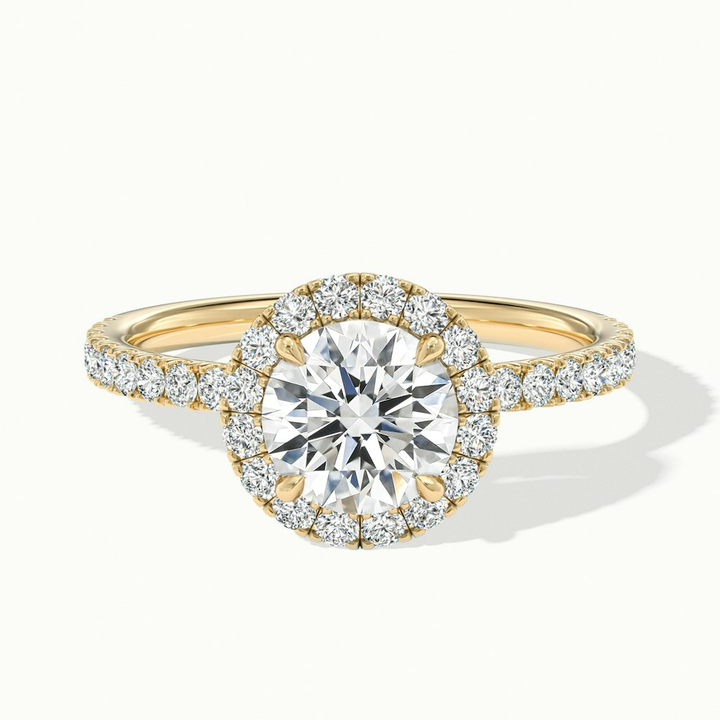 Hailey 2 Carat Round Cut Halo Moissanite Engagement Ring in 14k Yellow Gold