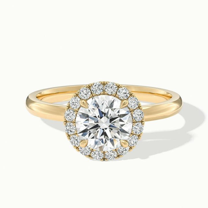 Kara 1 Carat Round Halo Lab Grown Diamond Ring in 10k Yellow Gold