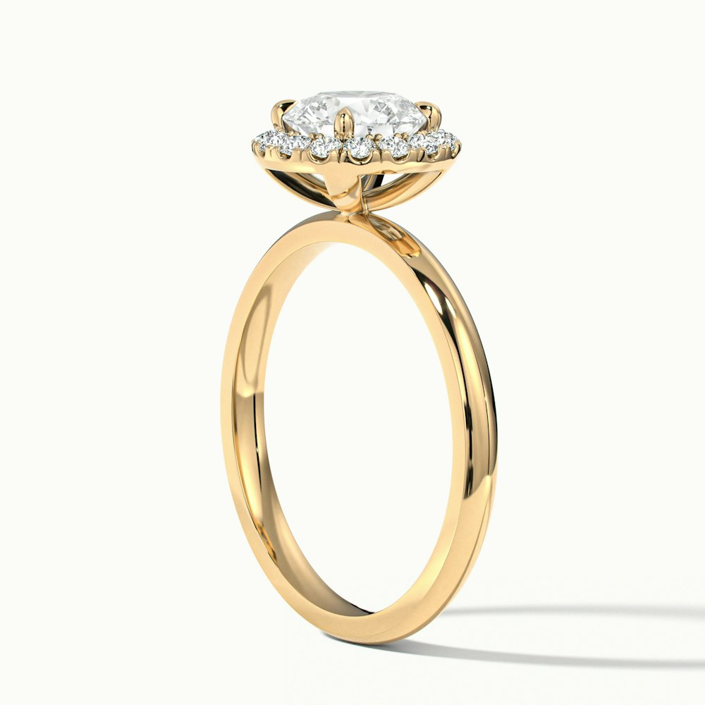 Kara 1 Carat Round Halo Lab Grown Diamond Ring in 10k Yellow Gold