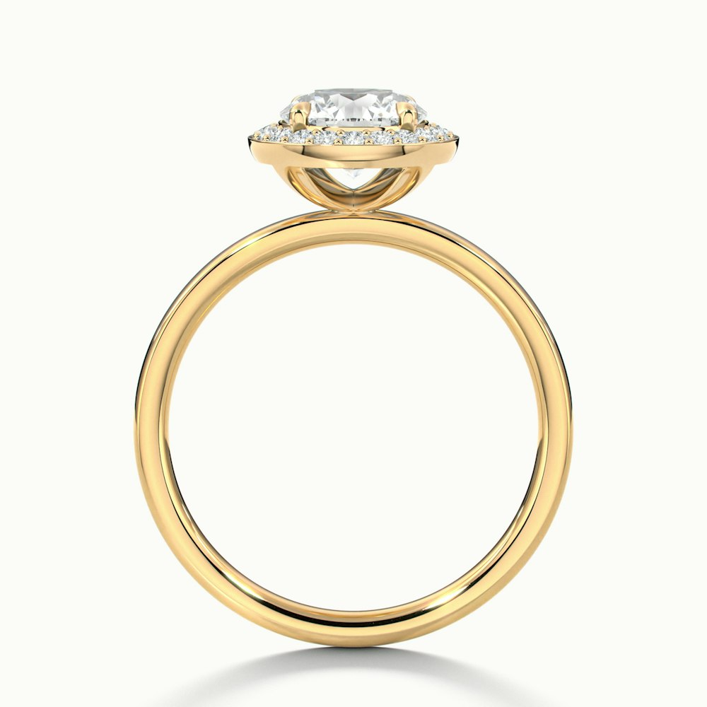 Arya 3 Carat Round Halo Pave Lab Grown Diamond Ring in 10k Yellow Gold