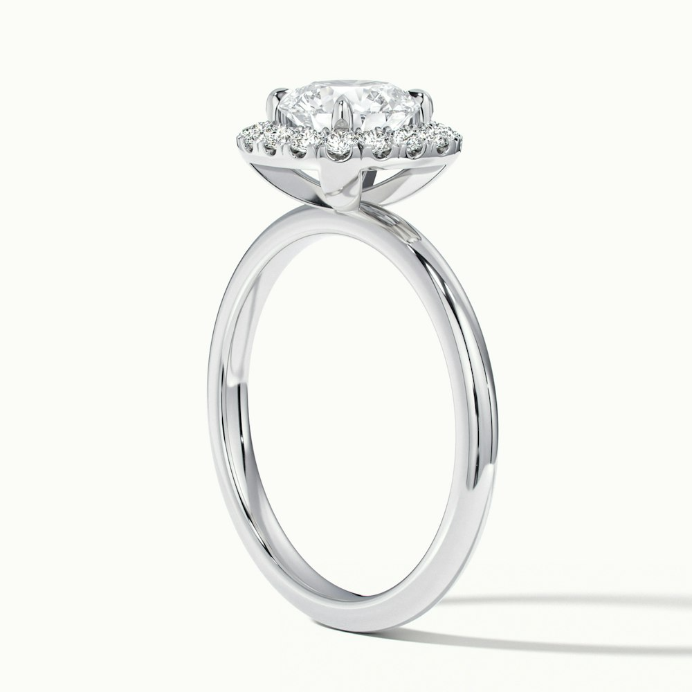 Anya 5 Carat Round Cut Halo Moissanite Engagement Ring in 10k White Gold